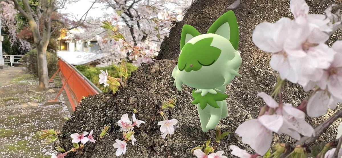 にゃーーん🌸

#ARofTheDay #GOsnapshot
#ポケモンGO #PokemonGO 
#GOsnapshotCelebration