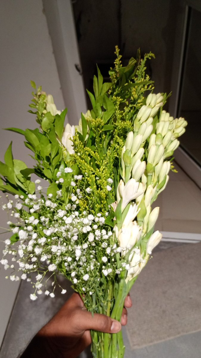 SANDY 🐸.(HYDERABAD) tweet media