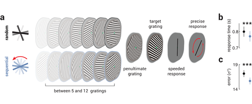 Journal of Vision (@arvojov) on Twitter photo Reuben Rideaux et al. find that Violated Predictions Enhance the Representational Fidelity of Visual Features in Perception, jov.arvojournals.org/article.aspx?a….
<a href="/ReubenRideaux/">Reuben Rideaux</a> <a href="/QldBrainInst/">Queensland Brain Institute, UQ</a> <a href="/UsydPsych/">USYD Psychology</a> Reuben Rideaux et al. find that Violated Predictions Enhance the Representational Fidelity of Visual Features in Perception, jov.arvojournals.org/article.aspx?a….
<a href="/ReubenRideaux/">Reuben Rideaux</a> <a href="/QldBrainInst/">Queensland Brain Institute, UQ</a> <a href="/UsydPsych/">USYD Psychology</a>