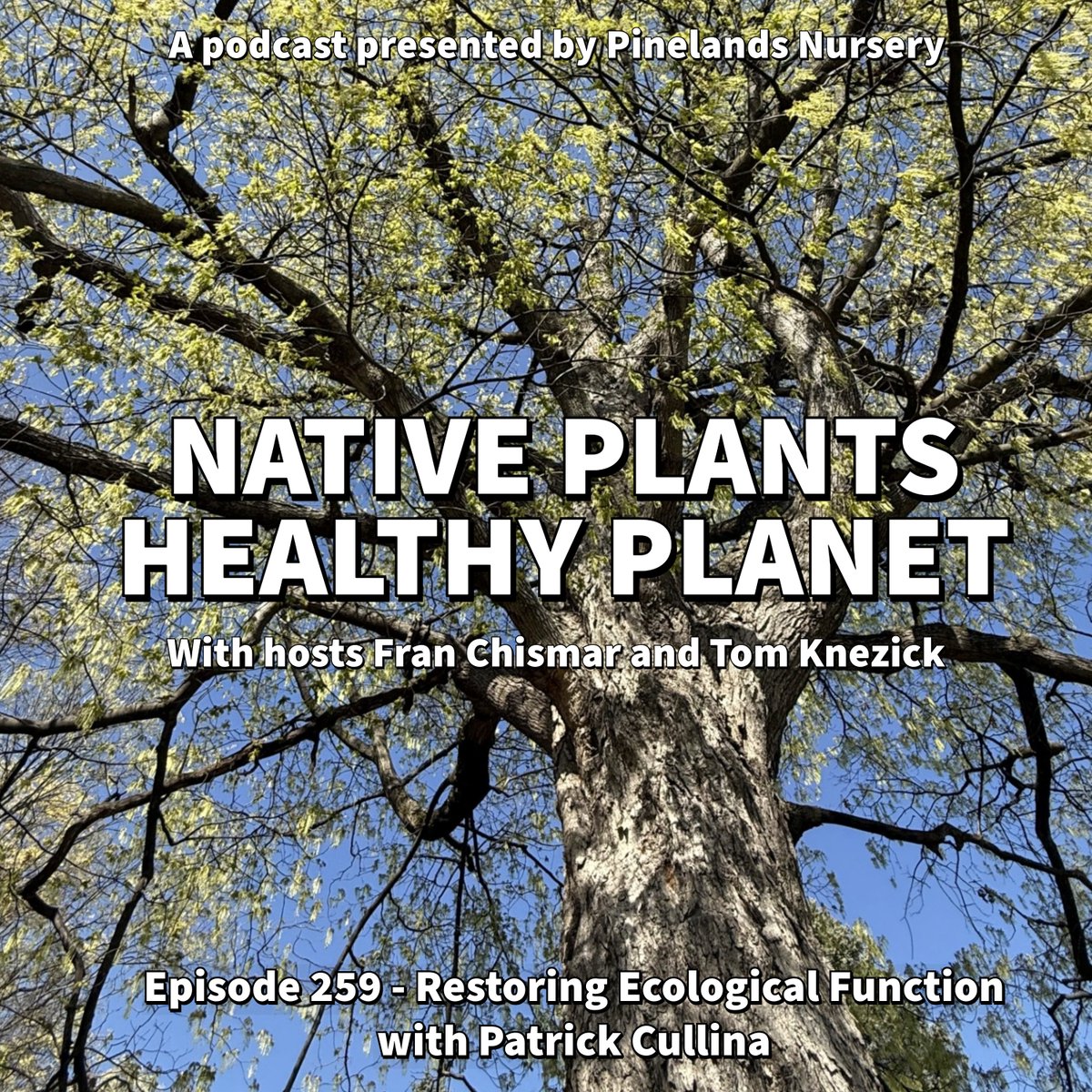 Tom &amp; <a href="/nativeplantfran/">Fran Chismar</a> talk w/Patrick Cullina about ecological gardening in public spaces, finding horticulture as a career, incorporating function &amp; systems in urban &amp; public spaces, the beginnings of the High Line in NYC. bleav.com/shows/native-p…