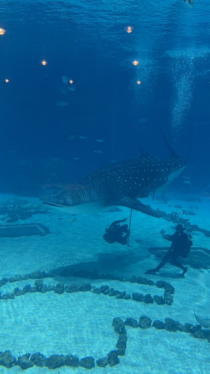 Sulikowski Lab tweet media