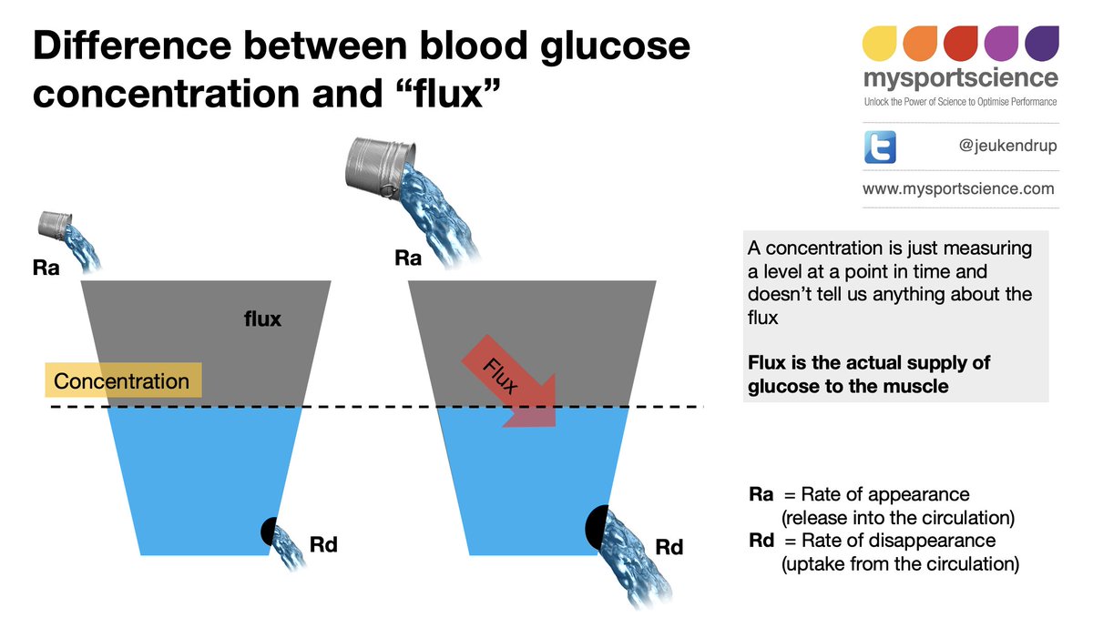 What is the difference between blood glucose concentration and blood glucose flux? Read the blog to find out... bit.ly/3tgibIV