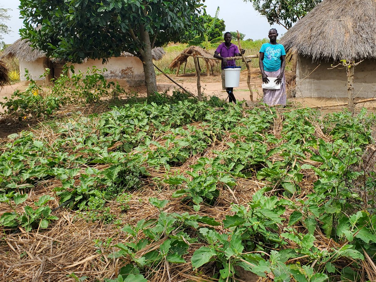 FACILITATION FOR PEACE AND DEVELOPMENT(FAPAD) tweet media