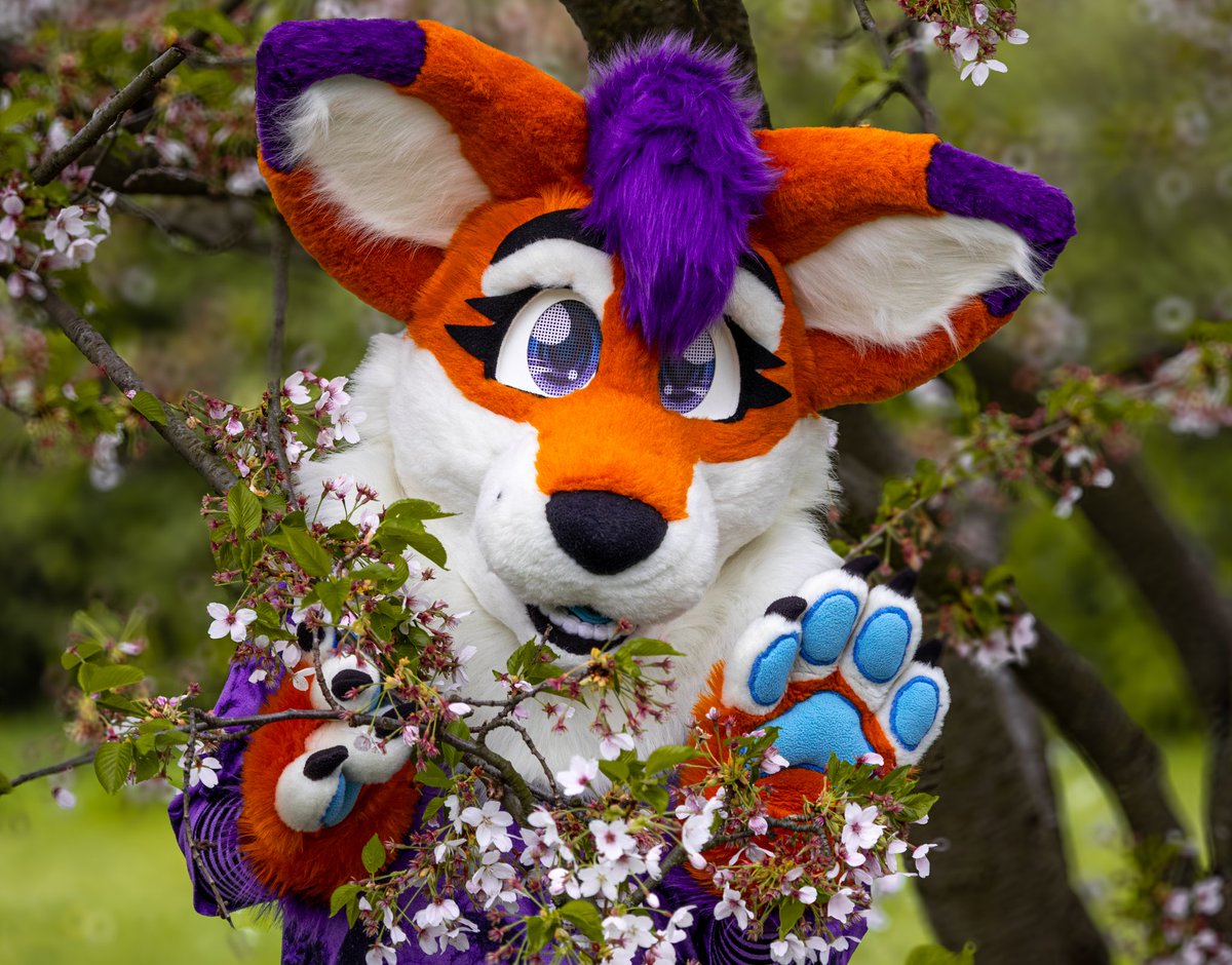 Foxydy🦊💜 (@foxydyfurryfox) on Twitter photo Hey👋🏻🌸🌿
It's finally nice and green everywhere🌿✨I love spring🦊🌸
Happy #FursuitFriday fluffs🐾🌷
📸 Photographer: <a href="/AkyirrDFaux/">Akyirr d'Faux 🦊👑🌿🇨🇿</a>
✂️ My fursuit: colorfur_floppa (IG)
#furry #furries #furryfandom #furryphotos Hey👋🏻🌸🌿
It's finally nice and green everywhere🌿✨I love spring🦊🌸
Happy #FursuitFriday fluffs🐾🌷
📸 Photographer: <a href="/AkyirrDFaux/">Akyirr d'Faux 🦊👑🌿🇨🇿</a>
✂️ My fursuit: colorfur_floppa (IG)
#furry #furries #furryfandom #furryphotos