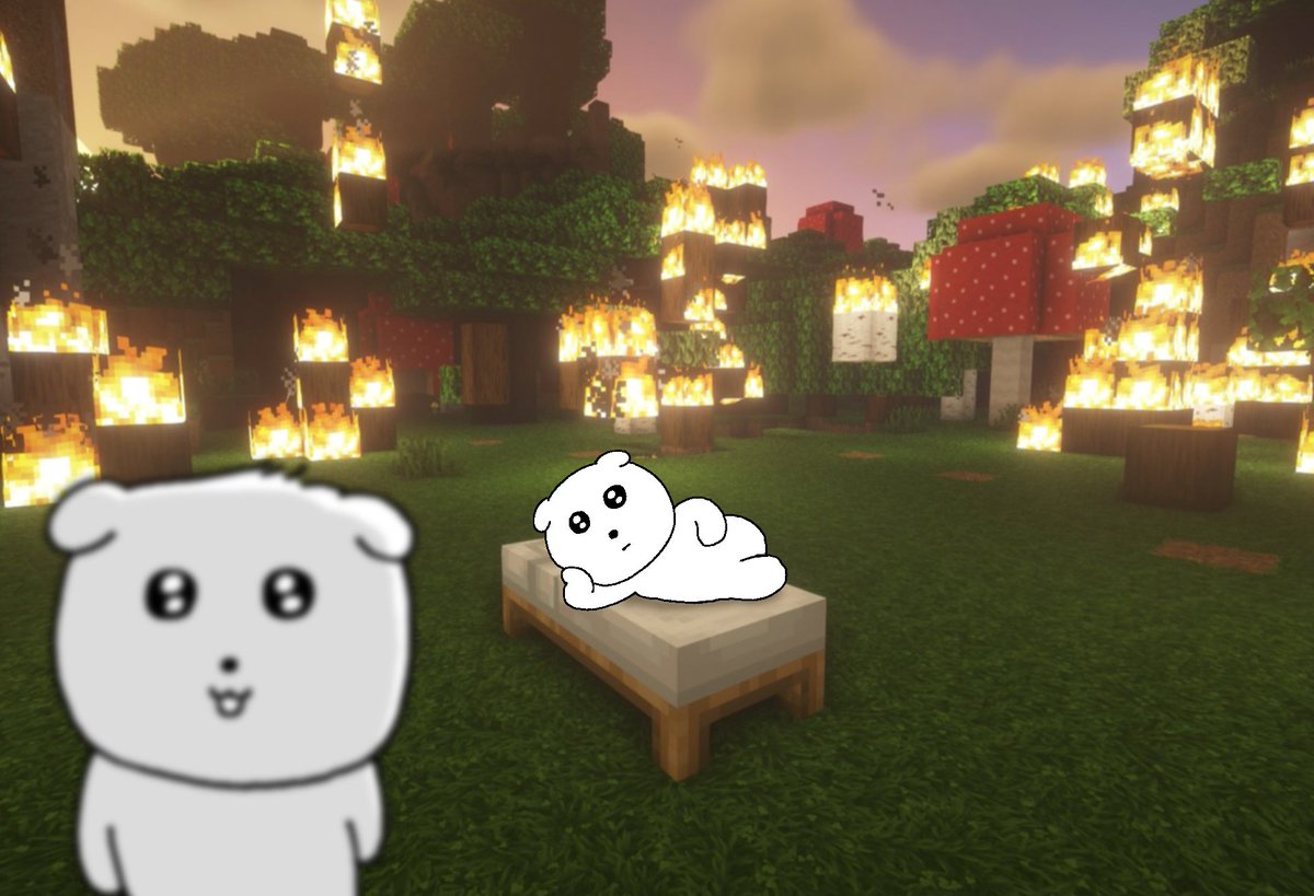 masaki nogi (@masakinogi) on Twitter photo 