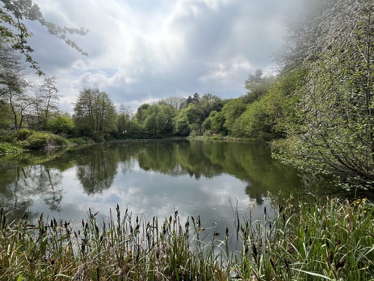Delia Garratt (@deliagarratt) on Twitter photo Must be #citynaturechallenge time. On and around Portway Hill today <a href="/WTBBC/">Birmingham & Black Country Wildlife Trust</a> Must be #citynaturechallenge time. On and around Portway Hill today <a href="/WTBBC/">Birmingham & Black Country Wildlife Trust</a>