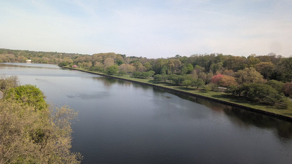 robinmsf's tweet photo. Crossing the Schuylkill, I-see-leaves-of-green edition https://t.co/Of2JYkmwgf