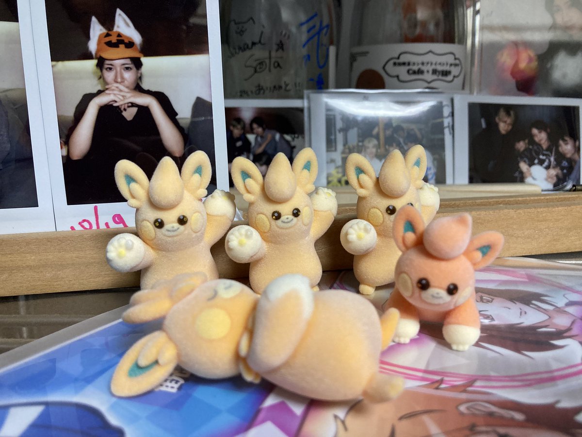 ぱもーぱーもー