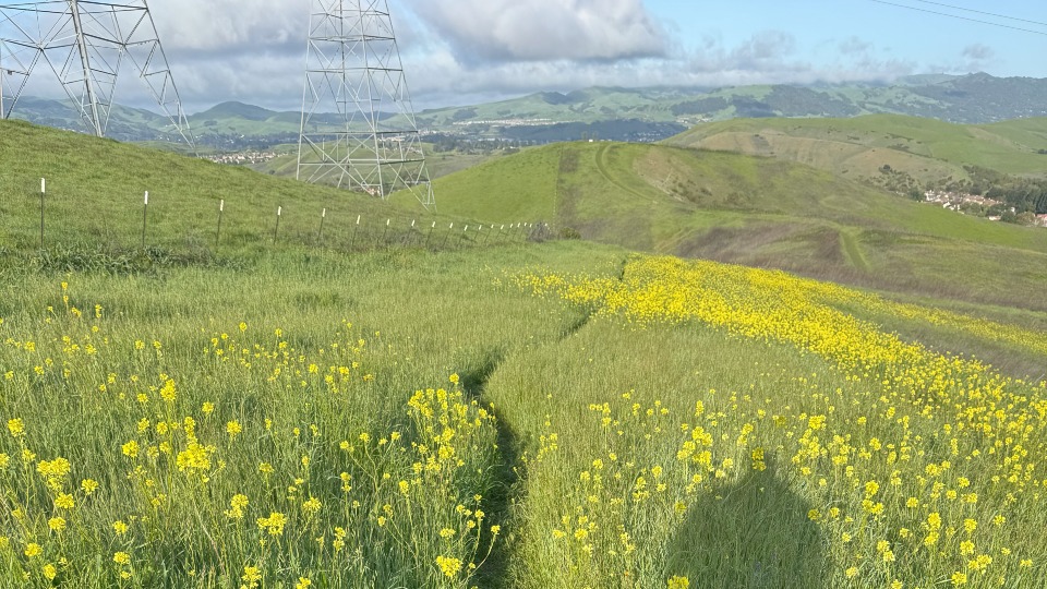 Pawlawski's tweet photo. The path wasn’t always this clear. But I walked it.
Again and again; It taught me this:
Everything worth having is on the other side of hard.
We’re built for challenge, choose it.
Start here: https://t.co/Rhszo9xmKA
#EveryDayGreat #LeadershipTools #MindsetMatters #WalkThePath https://t.co/STMCnziQni