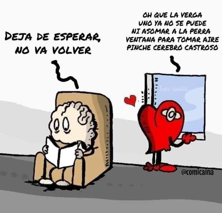 Y así varias veces al día...