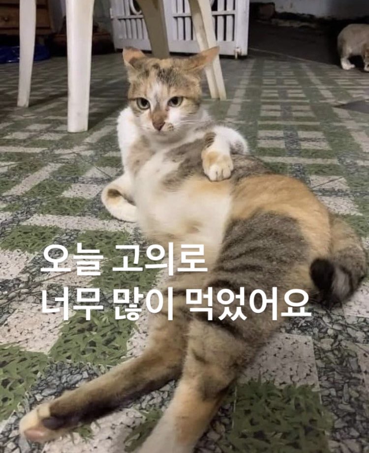 fluffywithlove tweet media