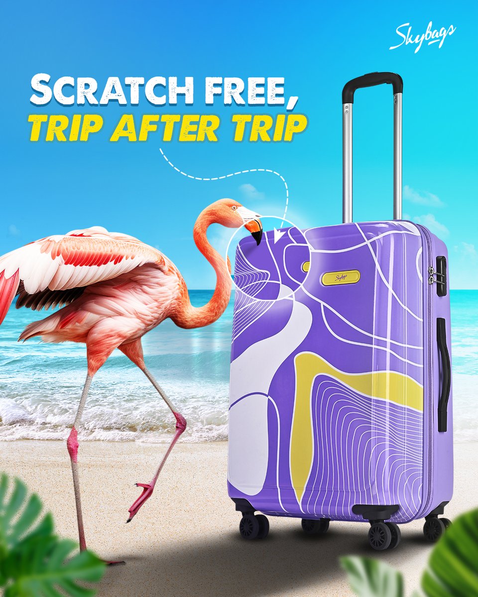 Jet, set, slay.
With Skybags Paradise, every trip comes with prints that pop, colours that shine, and features that keep up—360° rotating wheels, an anti-theft zipper &amp; a scratch-resistant finish.
Make every adventure a statement.

#Skybags #FreshVibrantPrints #LeaveYourImprint