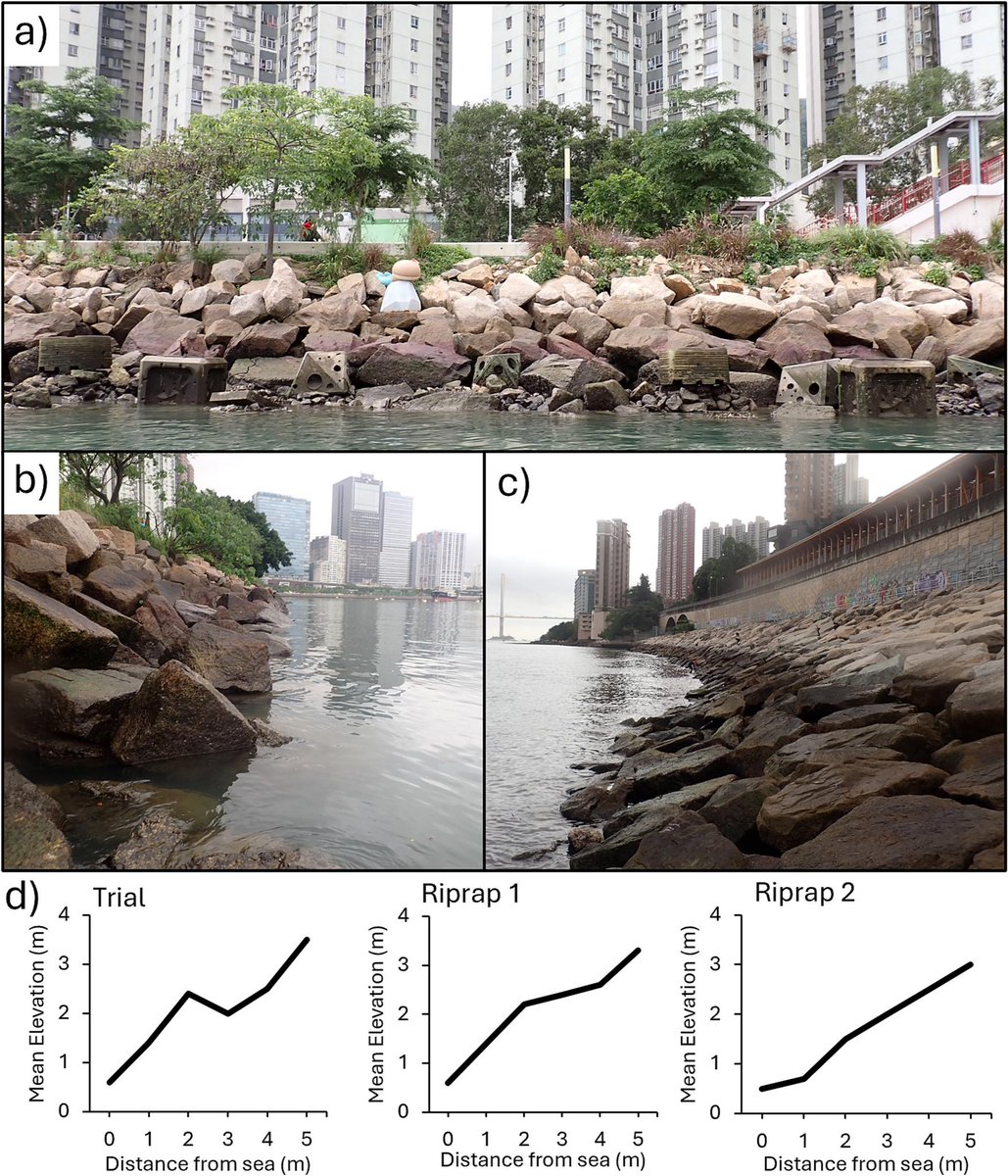 Download &amp; read our new paper:
authors.elsevier.com/c/1k~mS,asiDhTH 

😊 This study tested 4 eco-engineered designs in a sloping seawall. We found eco-engineering can effectively promote marine biodiversity &amp; ecosystem functioning 🌊🐠🐡🦪🦀

Download &amp; read our paper:
authors.elsevier.com/c/1k~mS,asiDhTH