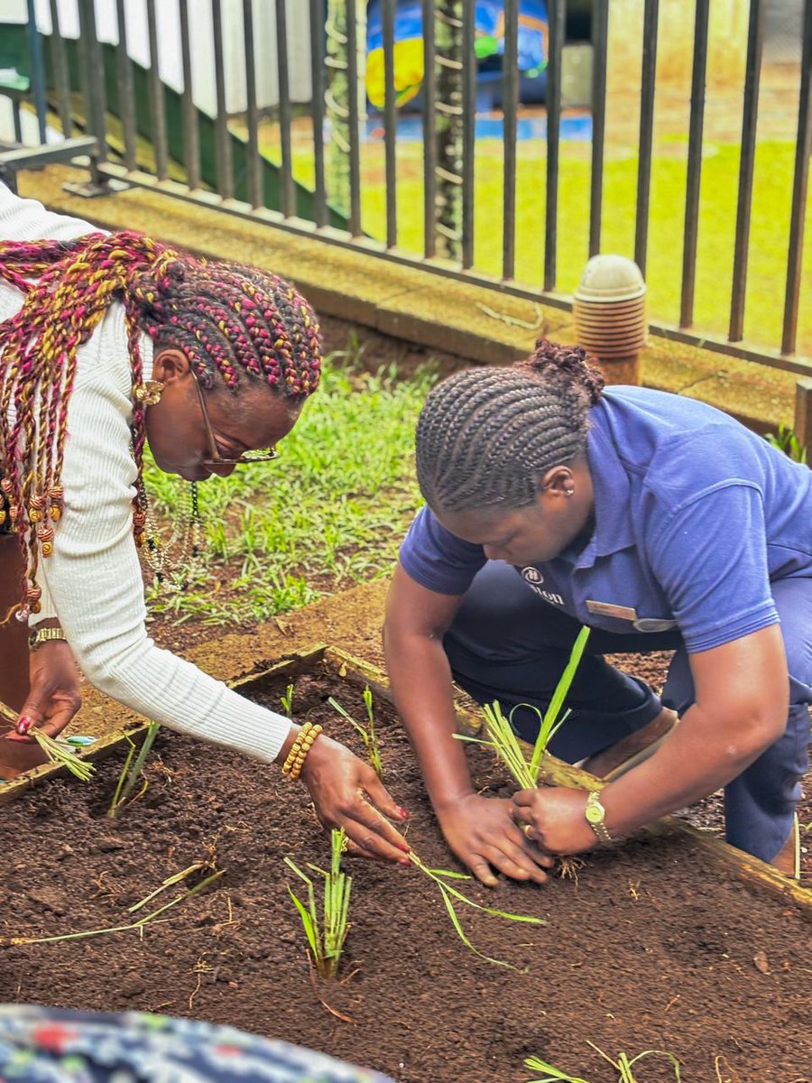 HILTON YAOUNDE tweet media