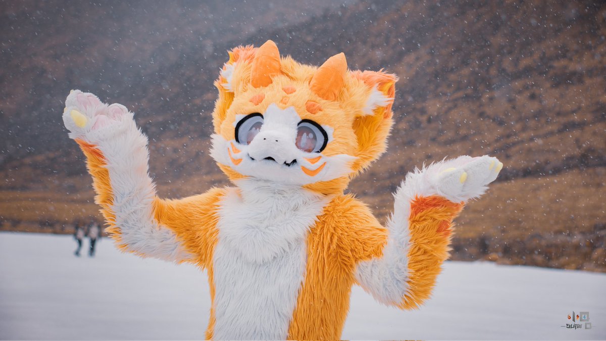 #FursuitFriday

为我试睹，蜀山春雪

📷：风云小Q
文案by弋穹