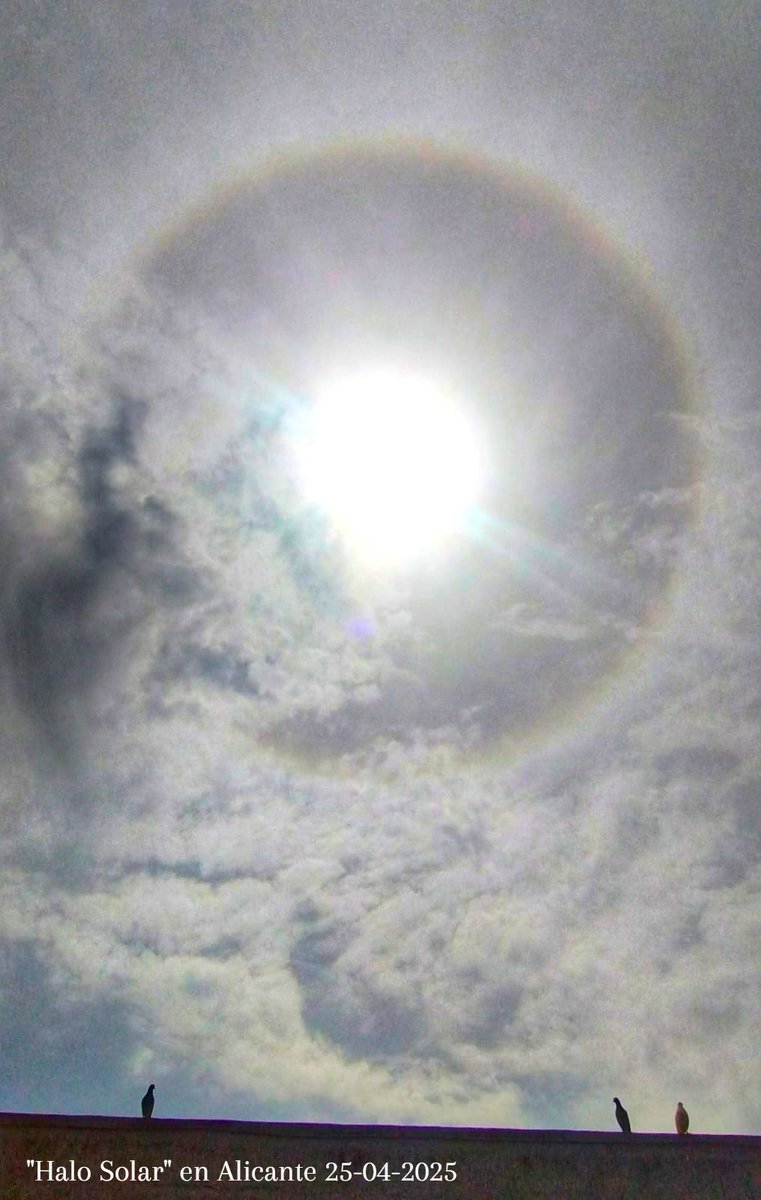 MeteOrihuela's tweet image. ¡Fotometeoro! Esta mañana (25/04/2025), halo solar en la ciudad de #Alicante. Es un fenómeno óptico, en forma de anillo, con centro en el astro rey. Se produce por la reflexión de la luz solar sobre los cristales de hielo que componen las nubes altas. Imagen: @GomisElias.