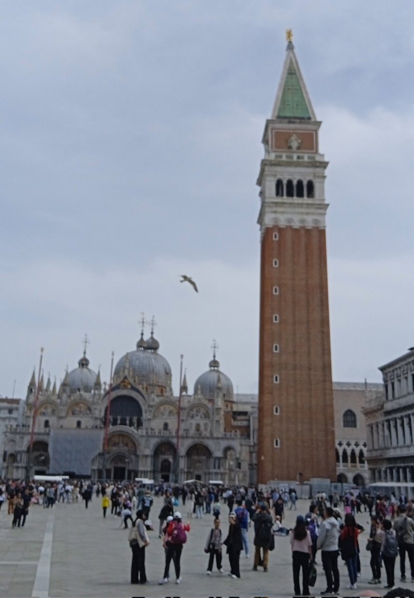 Buon San Marco a tutti!