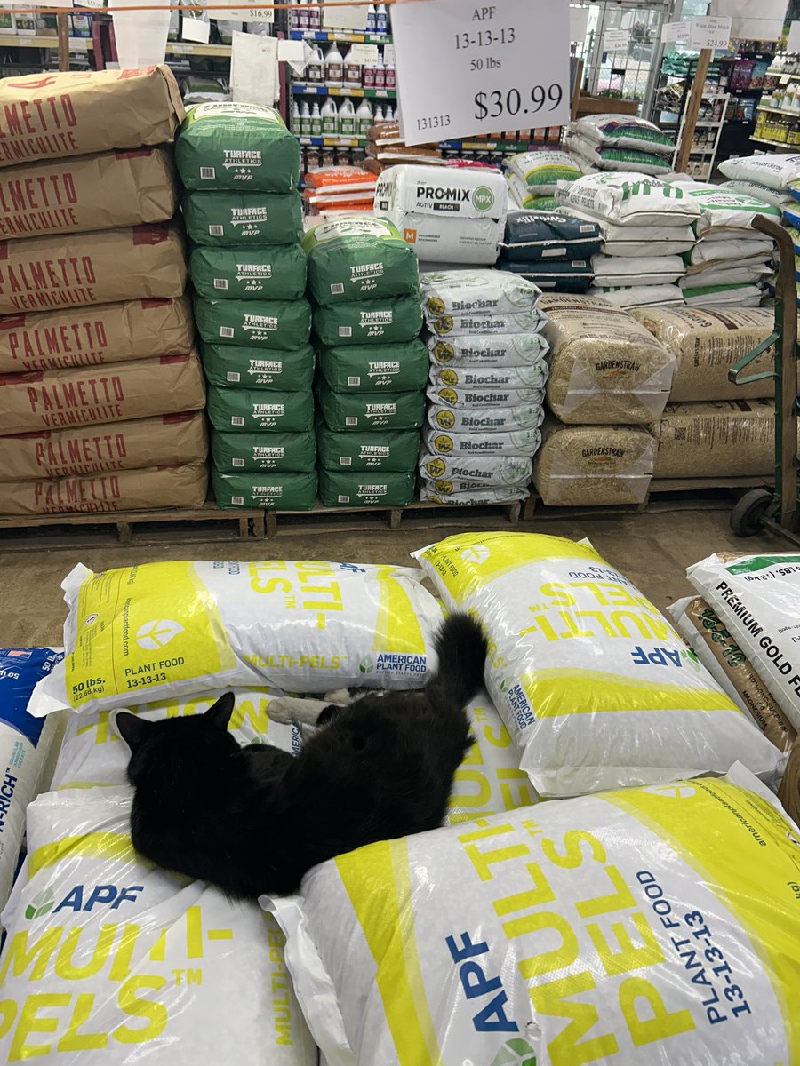 swfertilizer's tweet image. Bustopher’s Pick of the Day: APF 13-13-13 Multipurpose Fertilizer