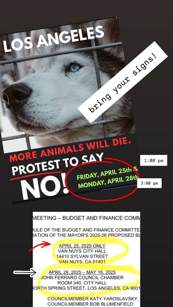 MozzeriansATW's tweet image. PROTEST TODAY @ 1PM at THE VAN NUYS CITY HALL!!!! 🪧✊✊✊

MAYOR’S PROPOSED CUTS WILL CLOSE 3 L.A. ANIMAL SHELTERS!!

Friday, April 25th (TODAY) at 1pm 
Van Nuys City Hall
14410 Sylvan St.
Van Nuys, CA

#dogsofLA #losangeles #karenbass #LA #lacitypets #AdoptDontShop #dogs #cats