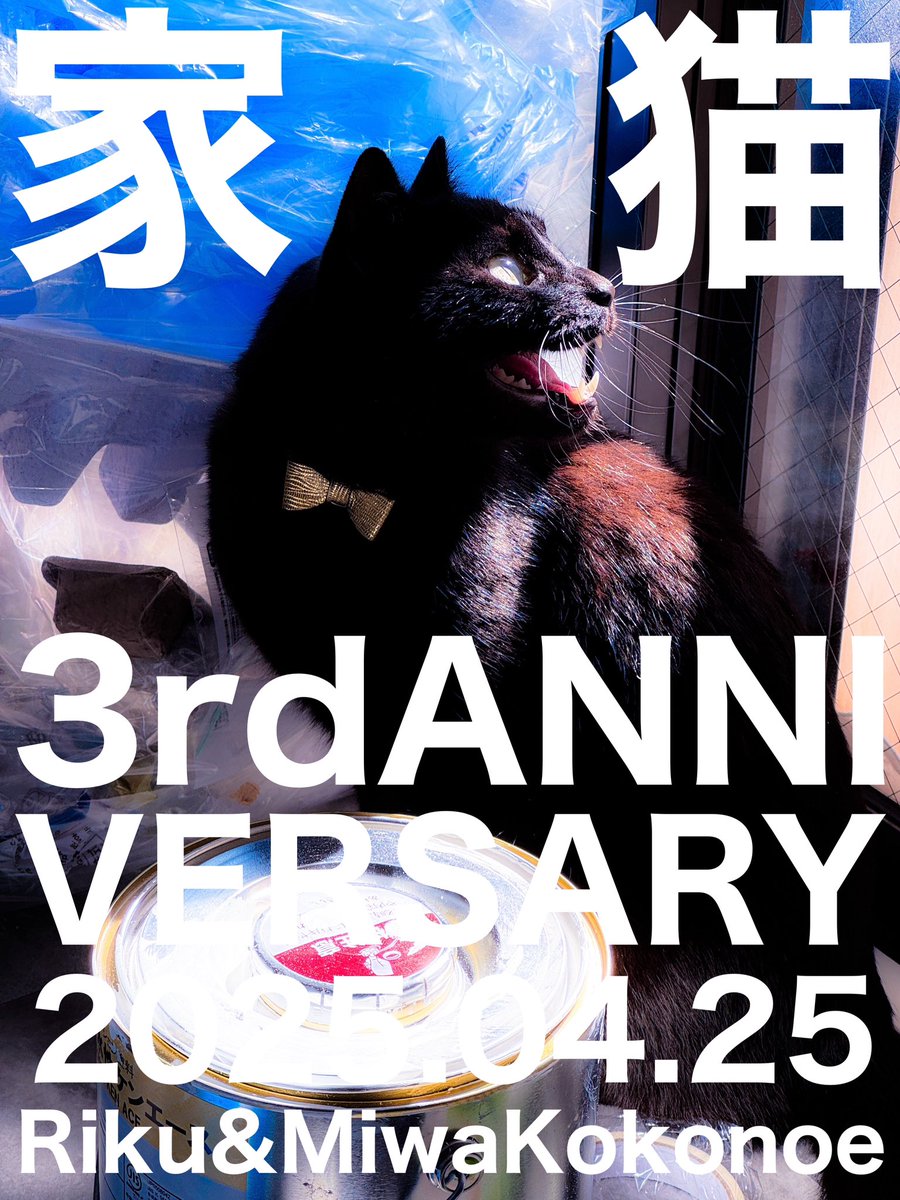kokonoe38's tweet photo. イエネコサードアニバーサリー #九重ミワと黒猫りくの奮闘記 https://t.co/1yvUAf6CJm