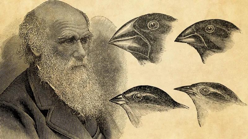Back to Basics Part 1: Materialism

This essay begins building the foundational knowledge of Marxism-Leninism by beginning with its philosophical underpinning: materialism.

challenge-magazine.org/2025/04/18/bac…