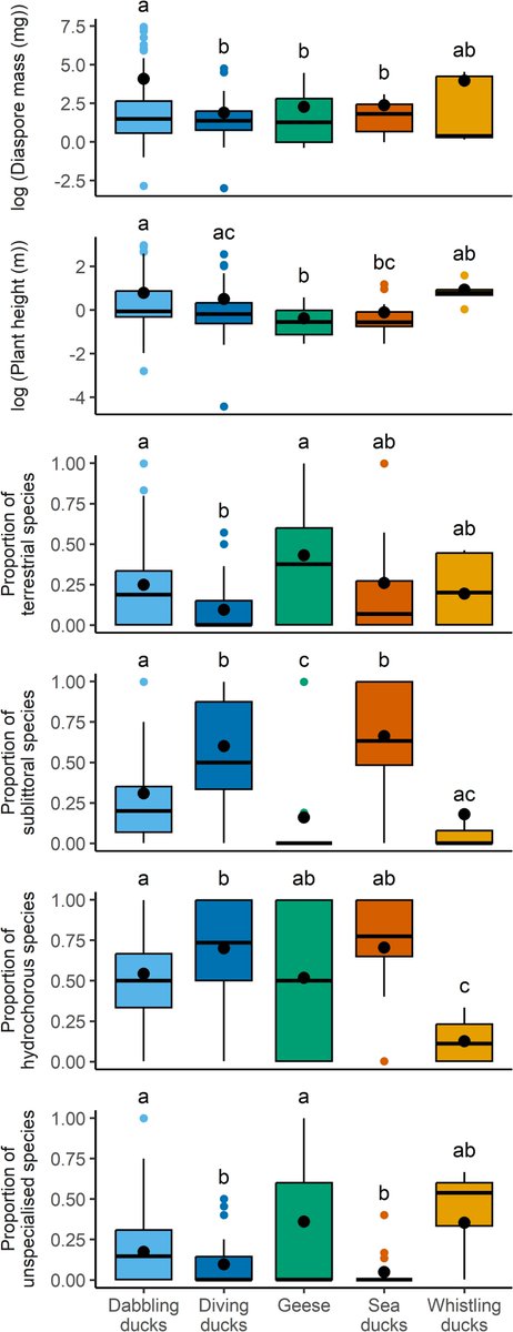 Andy J. Green (@drandygreen) on Twitter photo New analysis of 538 plants whose fruits/seeds are eaten and dispersed by waterfowl in N America, and why (what plant/bird traits explain it) #endozoochory <a href="/freshwaterblog/">The Freshwater Blog</a> <a href="/USGSWetlands/">USGSWetlands</a> <a href="/BSBIbotany/">BSBI: Botanical Society of Britain & Ireland</a> <a href="/DucksUnlimited/">Ducks Unlimited</a> <a href="/WileyEcolEvol/">Wiley Ecology & Evolution</a> <a href="/USGS/">USGS</a> <a href="/ebdonana/">Estación Biológica de Doñana - CSIC</a> <a href="/CoDisperse/">CoDisperse</a> onlinelibrary.wiley.com/doi/10.1111/fw… New analysis of 538 plants whose fruits/seeds are eaten and dispersed by waterfowl in N America, and why (what plant/bird traits explain it) #endozoochory <a href="/freshwaterblog/">The Freshwater Blog</a> <a href="/USGSWetlands/">USGSWetlands</a> <a href="/BSBIbotany/">BSBI: Botanical Society of Britain & Ireland</a> <a href="/DucksUnlimited/">Ducks Unlimited</a> <a href="/WileyEcolEvol/">Wiley Ecology & Evolution</a> <a href="/USGS/">USGS</a> <a href="/ebdonana/">Estación Biológica de Doñana - CSIC</a> <a href="/CoDisperse/">CoDisperse</a> onlinelibrary.wiley.com/doi/10.1111/fw…