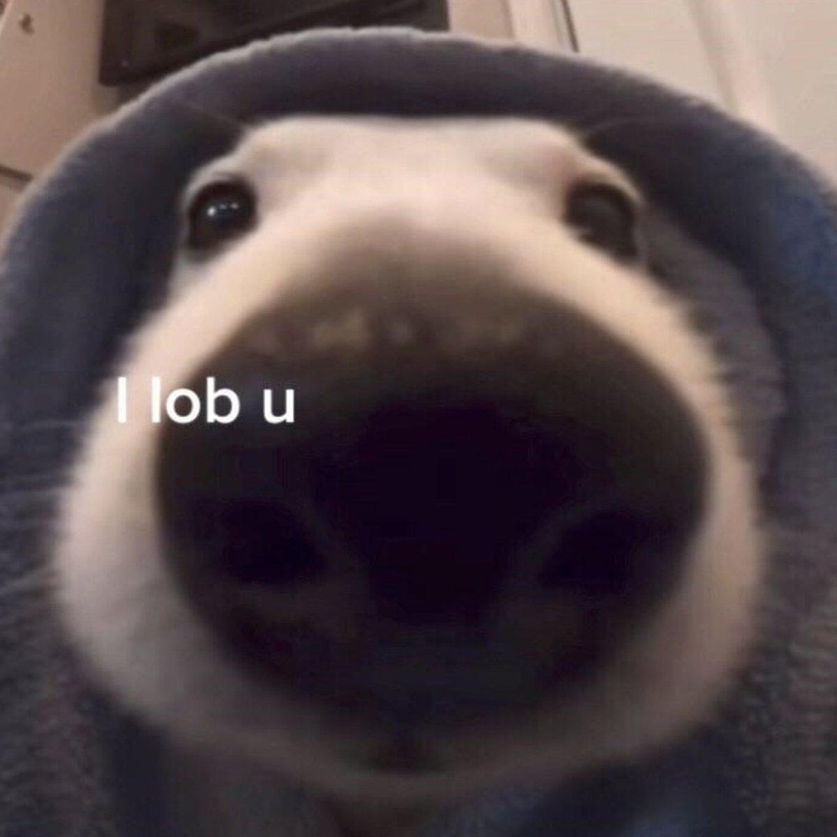 OscarWinning's tweet image. Life's been pretty hard for most of us lately.  Hang in there and keep making this a better place just by existing.  I'm glad you're here.

#OscarWinningBehavior #depression #mentalhealth #strength #love #anxiety #community #support #happiness