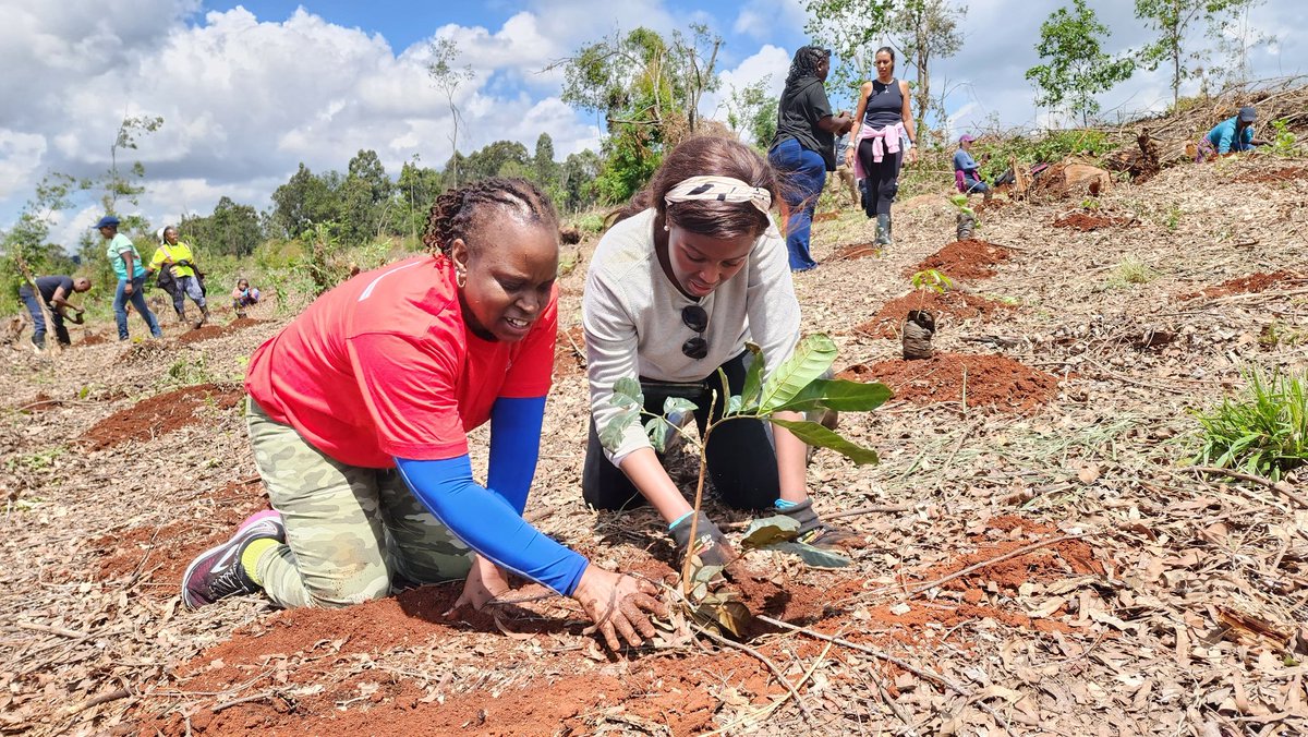 UK in Kenya 🇬🇧🇰🇪 (@ukinkenya) on Twitter photo To celebrate #EarthDay, 🇬🇧 Deputy High Commissioner <a href="/edwardabarnett/">Ed Barnett</a> joined colleagues and @Karurafriends to plant over 800 new seedlings 🌱 in Karura Forest, supporting <a href="/KeForestService/">Kenya Forest Service</a>’s restoration programme. #OurPowerOurPlanet To celebrate #EarthDay, 🇬🇧 Deputy High Commissioner <a href="/edwardabarnett/">Ed Barnett</a> joined colleagues and @Karurafriends to plant over 800 new seedlings 🌱 in Karura Forest, supporting <a href="/KeForestService/">Kenya Forest Service</a>’s restoration programme. #OurPowerOurPlanet