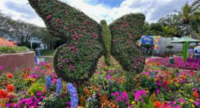 Want to Plant a Butterfly Garden With Us?
For more details: catapult-connect.com/pv-en/_MjA5NDc…