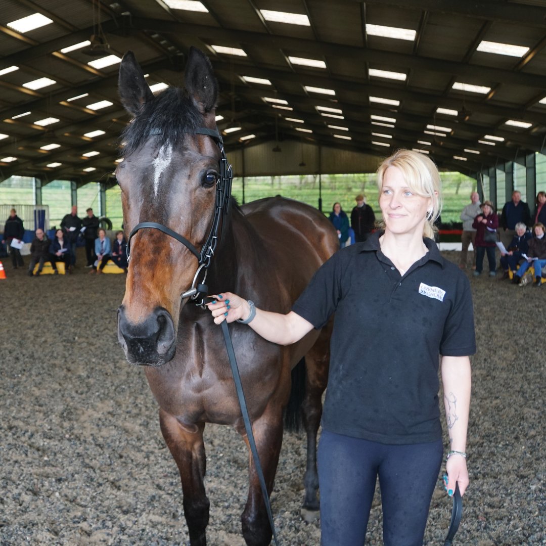 ownersgroupuk's tweet photo. GLYNN and GOLDEN ECHO at a recent stable visit to Anthony Honeyball's Potwell Farm.

#glynn #goldenecho #ownersgroup https://t.co/1DZvYgR8vA