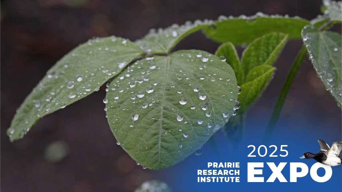 Go full circle with the water cycle! 💧 Check out the tech <a href="/watersurvey/">Illinois State Water Survey</a> scientists use to track rainfall, irrigation, &amp; groundwater. Don’t miss it at the PRI Expo!
📆 May 2-3, 2025
📍 Research Park, University of Illinois Urbana-Champaign
👉 More info at the link in the thread.