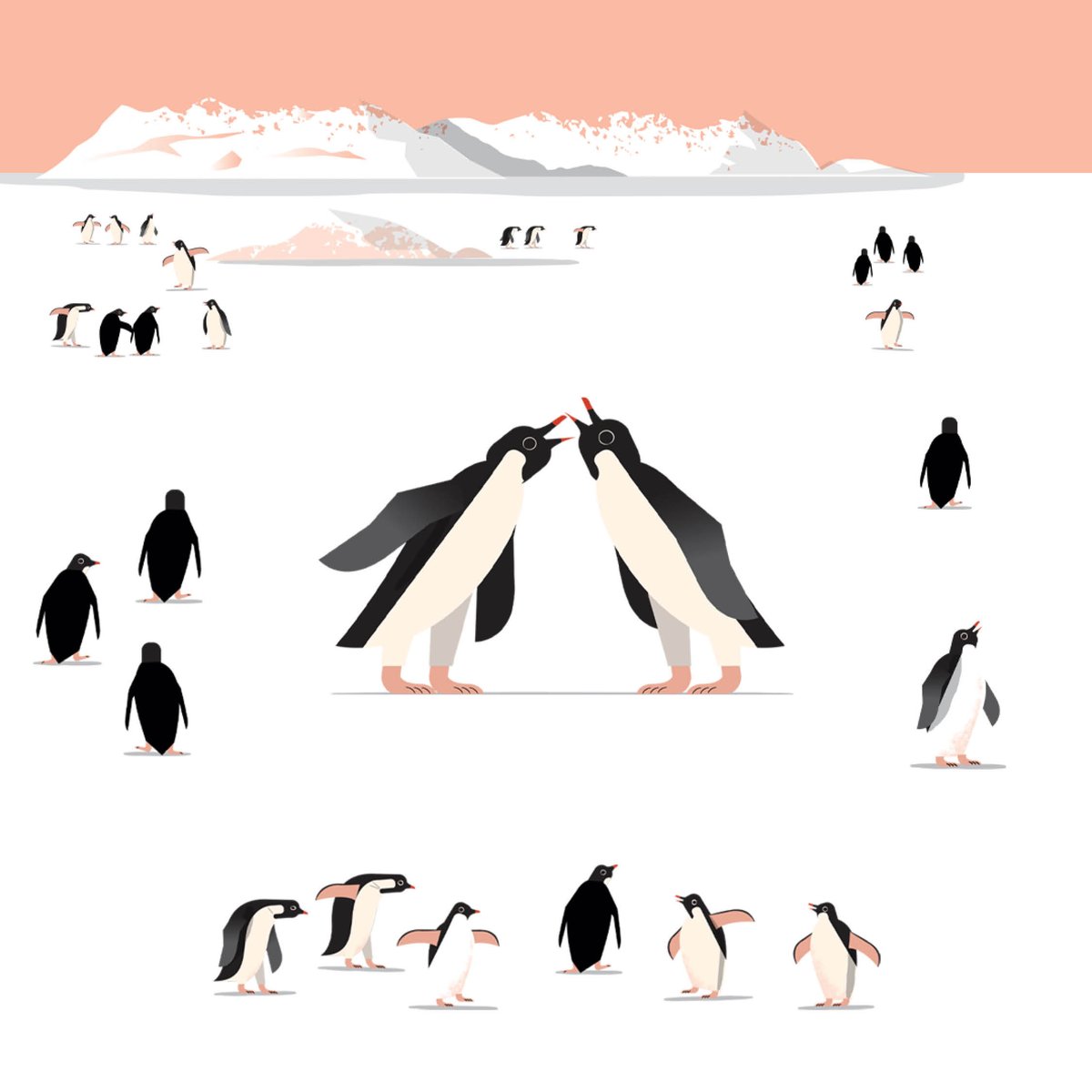What on Earth! Books (@whatonearthbook) on Twitter photo Did you know? Adélie penguins can fire poo up to a metre away, staining the snow pink 💩🐧
Discover more wild facts in We Are All Animals — the perfect gift for curious kids who love animals.
Grab yours: whatonearth.pub/4imHnSi 🐾
#WorldPenguinDay <a href="/HumanimalTrust/">Humanimal Trust</a> <a href="/ProfNoelFitz/">Noel Fitzpatrick</a> Did you know? Adélie penguins can fire poo up to a metre away, staining the snow pink 💩🐧
Discover more wild facts in We Are All Animals — the perfect gift for curious kids who love animals.
Grab yours: whatonearth.pub/4imHnSi 🐾
#WorldPenguinDay <a href="/HumanimalTrust/">Humanimal Trust</a> <a href="/ProfNoelFitz/">Noel Fitzpatrick</a>