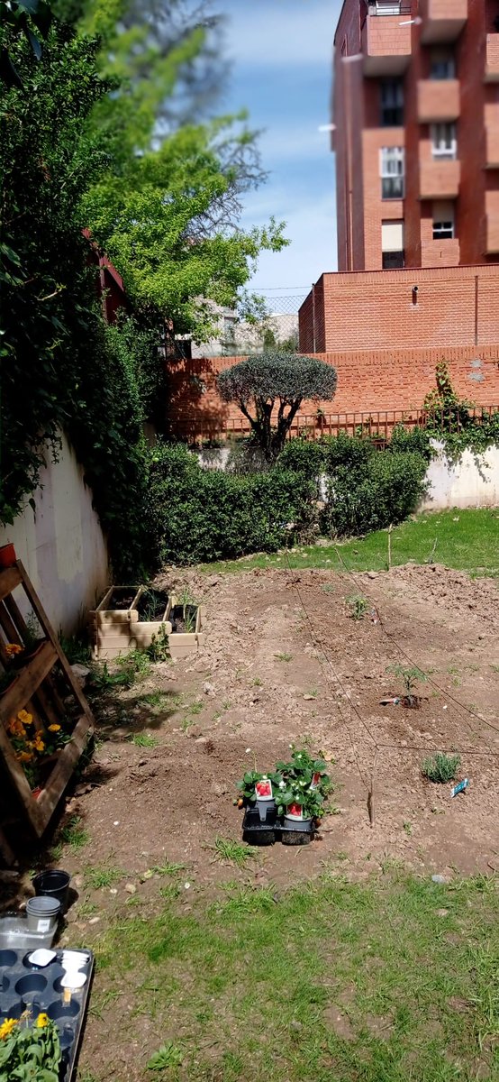 Retomamos las labores del huerto.  Algunos alumnos han cuidado de semillas en sus casas, que obsequiaremos a las residencias de ancianos que visitaremos en mayo. 
Los que quieran ayudar, preguntar por Mari Carmen Morón, del Dpto. De Biología, en los recreos de los viernes.