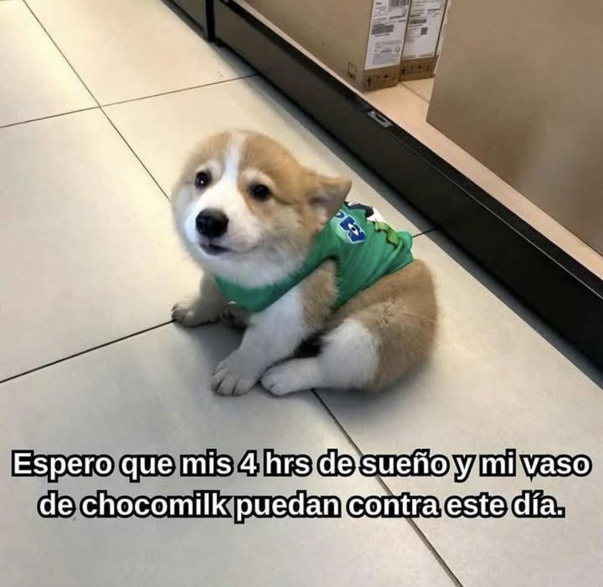Guarromantico_'s tweet photo. Espero. https://t.co/wvMQnfkFju