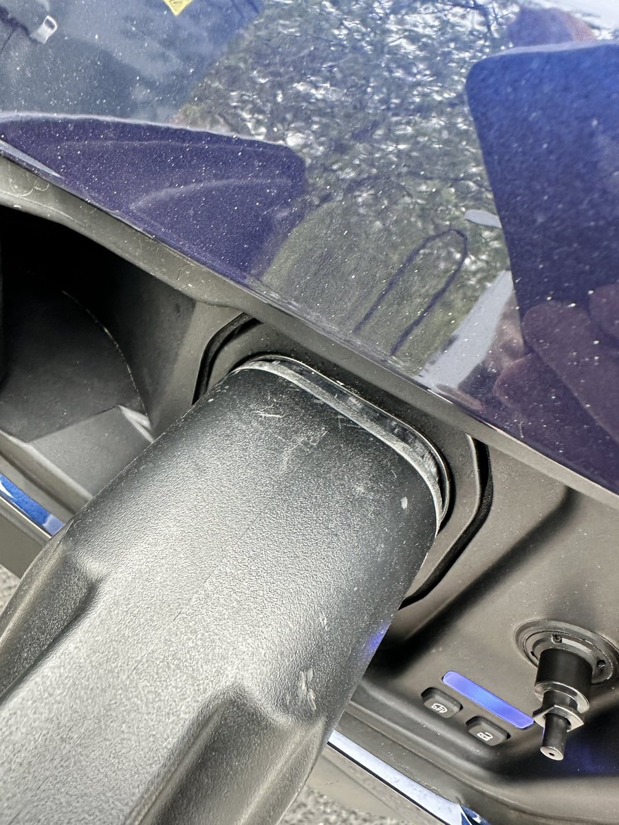 Will Adams tweet media