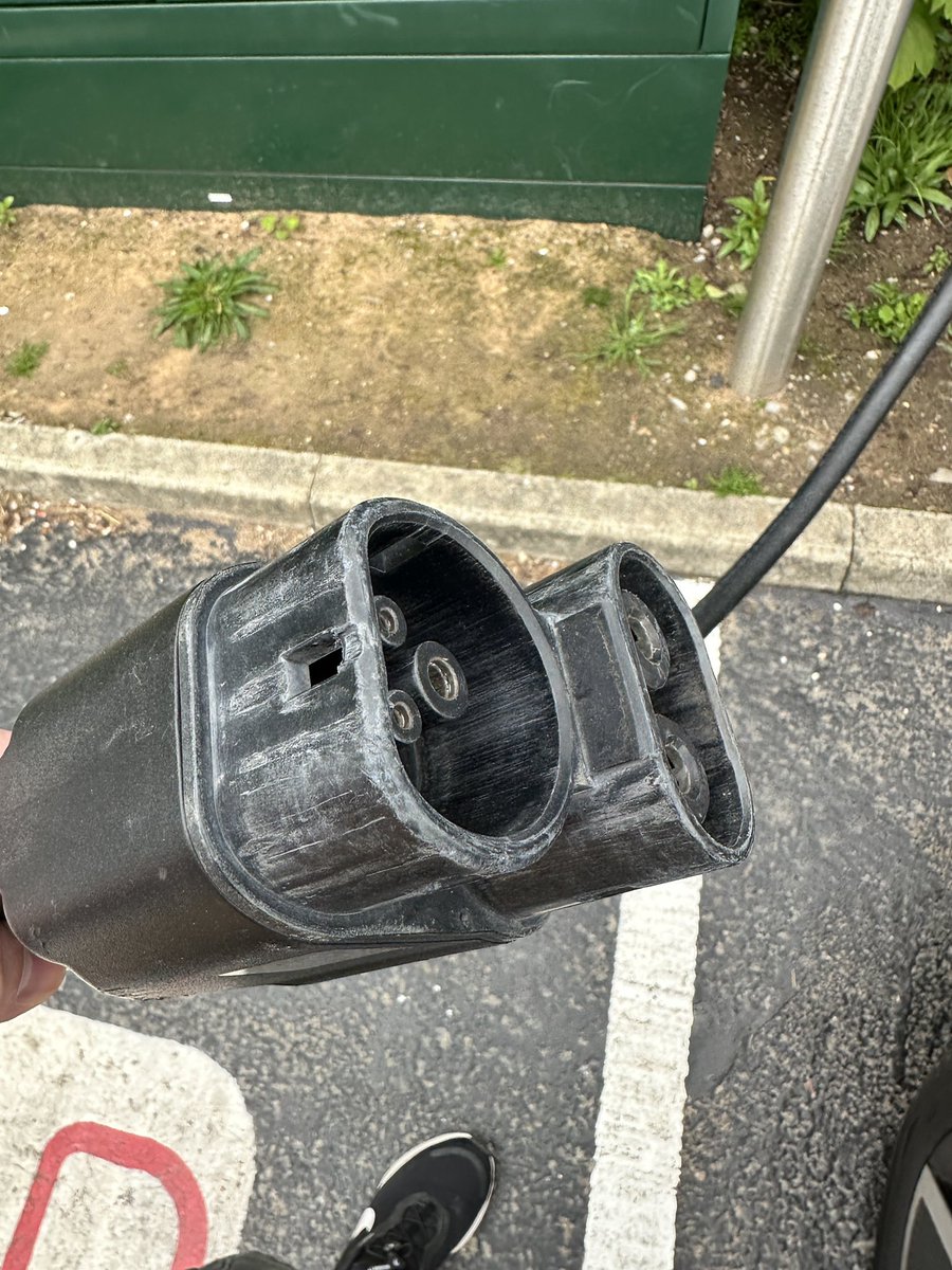 Will Adams tweet media