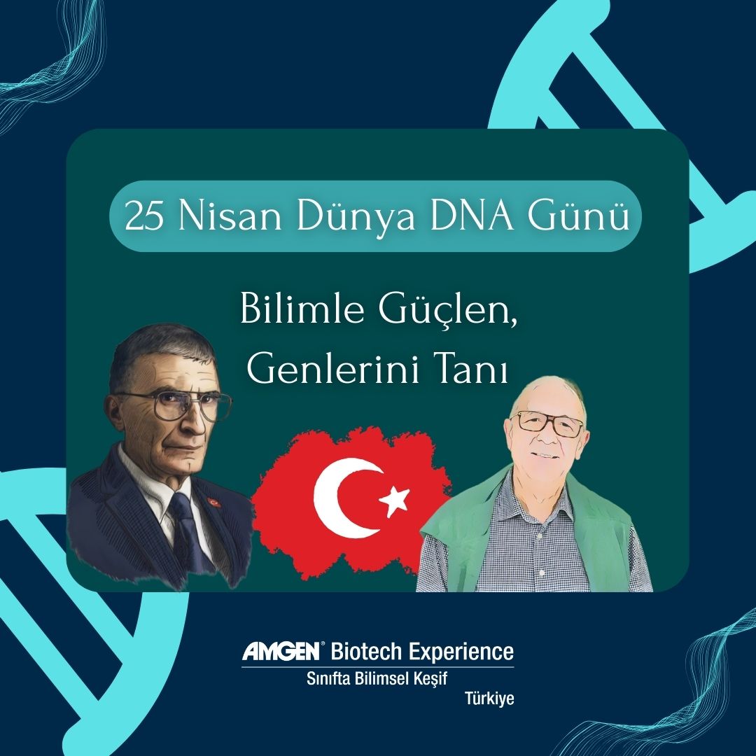 🧬 Bugün 25 Nisan, Dünya DNA Günü!

🔬 DNA’nın yapısı 1953’te keşfedildi. Aziz Sancar ve Tayfun Özçelik gibi bilim insanlarımız bu alanda dünyaya ışık tuttu.

#DNAGünü #kalkınmaatölyesi #amgenvakfı #EDC #biotechexperience
<a href="/kalkinmatolyesi/">Kalkınma Atölyesi</a> <a href="/amgen_turkiye/">Amgen Türkiye</a> <a href="/EDCtweets/">edc.org</a> <a href="/ABEProgOffice/">Amgen Biotech Experience (ABE) Program Office</a>