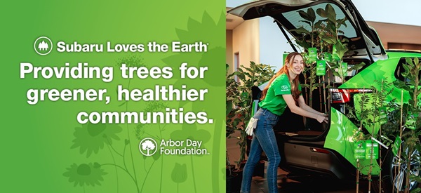 AutoBarnSB's tweet image. Today is Arbor Day, and as part of the Subaru Loves The Earth event, The Autobarn Subaru is giving away FREE TREES! Register here: get.arborday.org/070579
#SubaruLovesTheEarth #ArborDay #autobarnsubaru #autobarnimports #autobarncountryside
