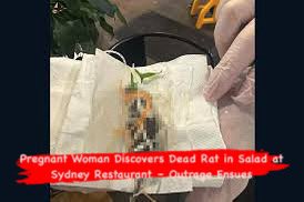 qubesmagazine's tweet image. Shock in Sydney! A pregnant woman discovers a dead rat in her salad at a top restaurant. Health authorities launch investigation.
#SydneyNews #HealthHazard #RestaurantScandal #BreakingNews #QubesMagazine
Read more: QubesMagazine (link Bio)