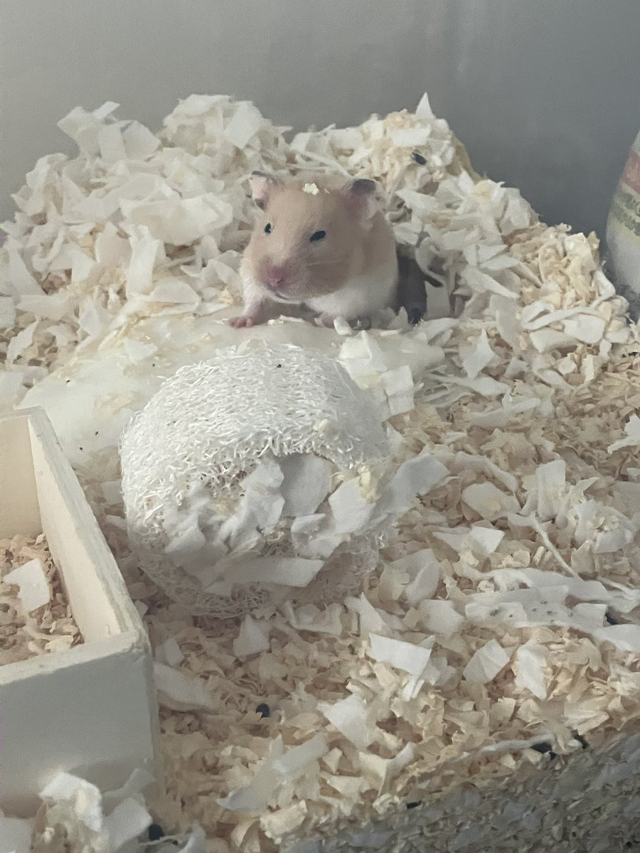 家出る前に行ってくるねーって言ったらみてくれた♡