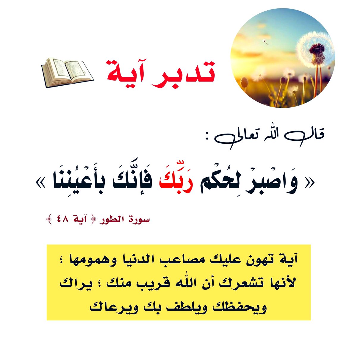 مَجَالِس أَدَبِيَّة tweet media