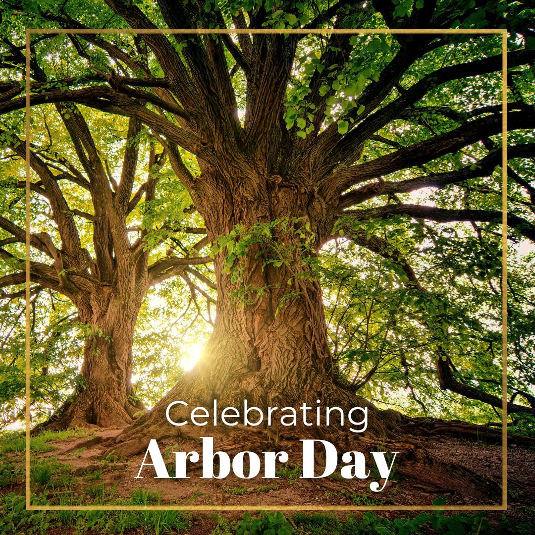 AlchemiDesign's tweet image. Happy Arbor Day from Alchemi! 🌿

We are grateful for the opportunity to create designs that not only serve our clients but also support a healthier planet.

#arborday #trees #design #marketing #greenprinting #environment