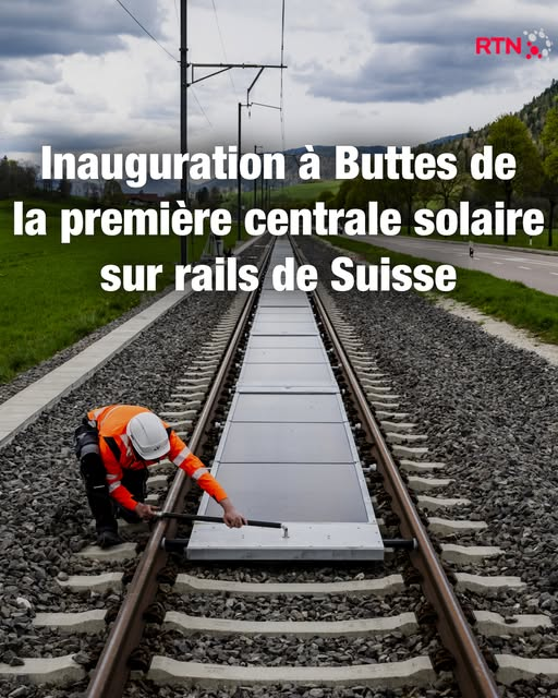 écologie rationnelle tweet media