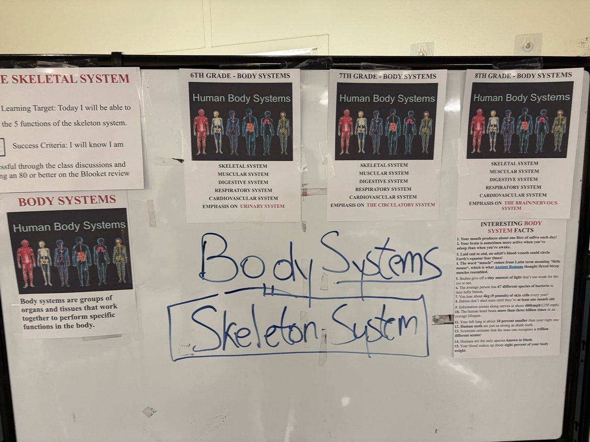 NNPSHPE's tweet image. Students at @gildersleevems learning about nutrition  🍎🥦 and the circulatory system 🫀 last week with Mr. Cretacci.

#middleschoolHPE #healtheducation #circulatorysystem