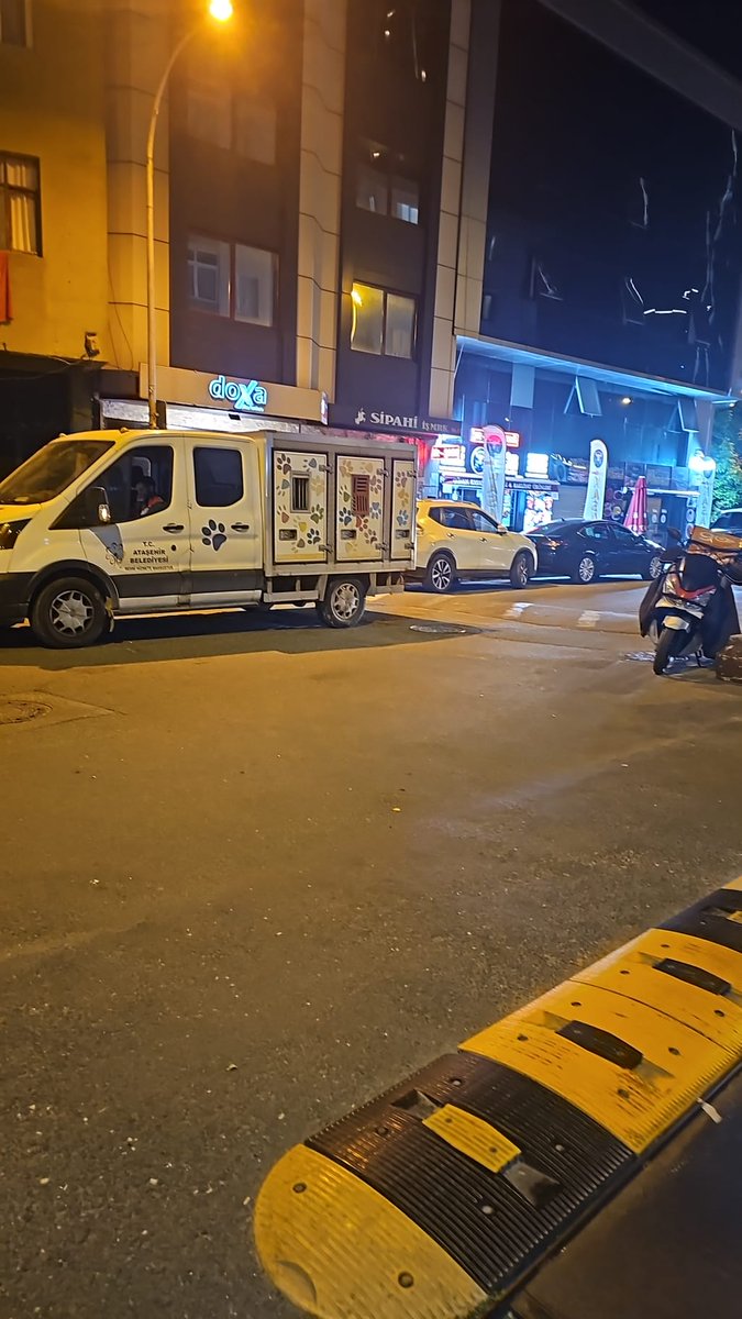 Doymadı!  İlçede toplayıp iBb ye öldürte öldürte köpek birakmakayip sonra da barınak yaptık diyecek.
Yer: fetih mahallesi