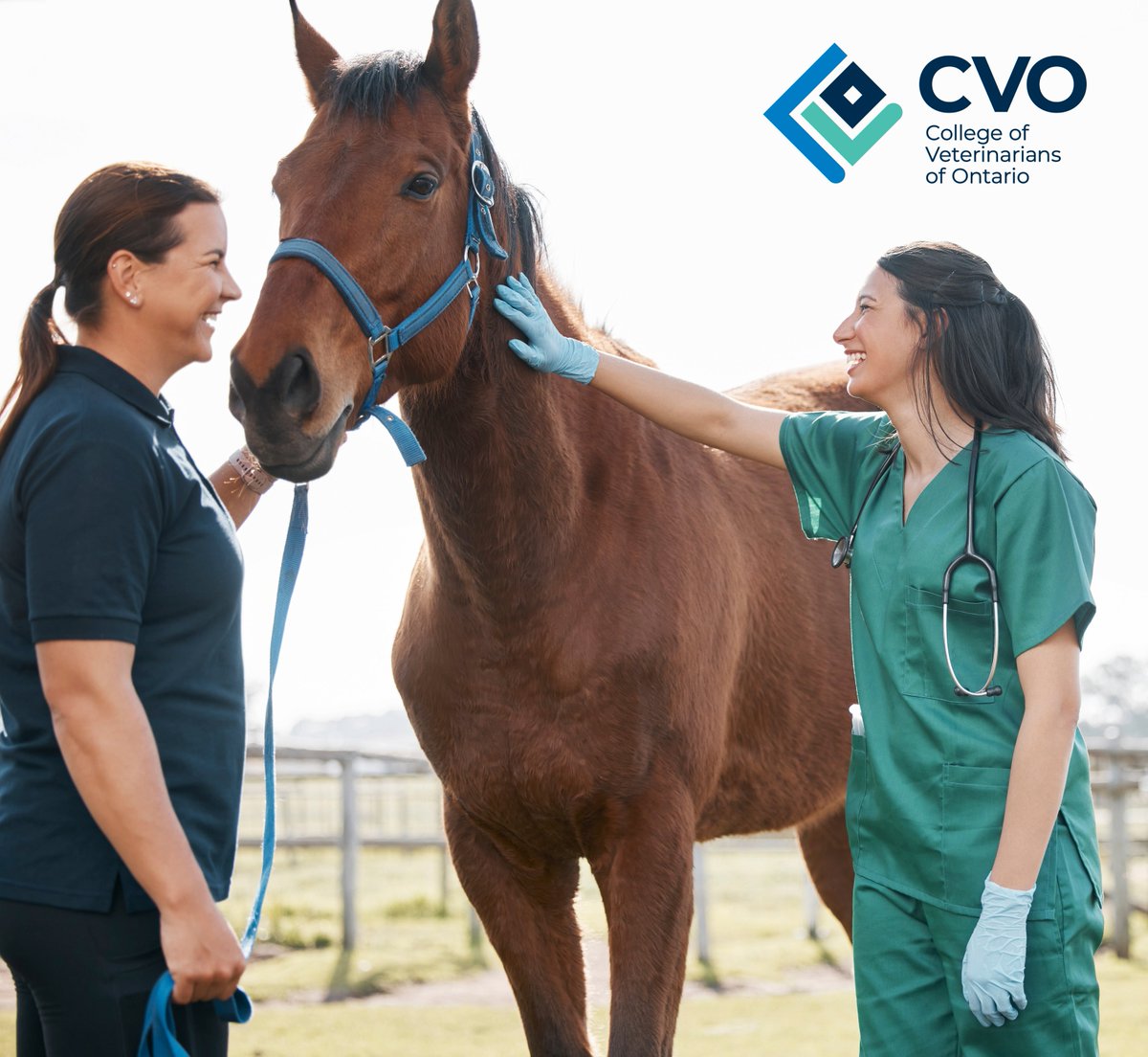 Happy #WorldVeterinaryDay! 🩺

The College appreciates the contributions of all veterinary professionals who support the public’s access to safe, quality veterinary medicine. Animal health takes a team!