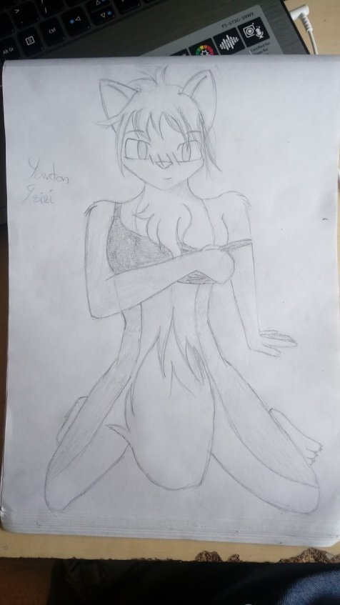 Remade one of the first Kona drawings