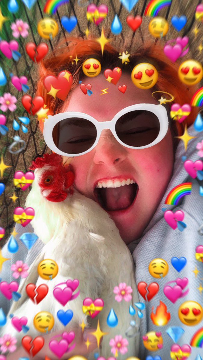 Just want to reiterate that roosters deserve better. 
I have a bachelor flock. They’re such silly little birds, they truly deserve happiness.