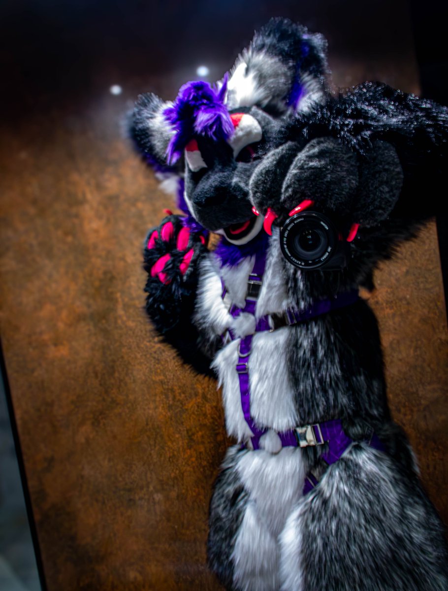 I guess I never showed my fullsuit here, it's hard to take a good photo in theeem pawsss 🐾

#FursuitFriday