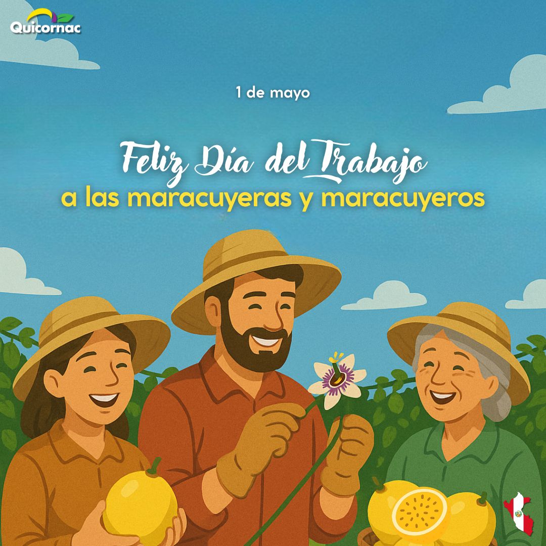 maracuchitoperu's tweet photo. 🌿💪Hoy celebramos a quienes cultivan con pasión el sabor de nuestra tierra. Feliz Día del Trabajo a las productoras y productores de maracuyá, cuyo esfuerzo y dedicación hacen posible que esta fruta llegue a las mesas con tanto amor y calidad.🍋

#díadeltrabajo #maracuyá https://t.co/YxVVEiKJbI